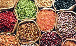 Nearly 75,000 tons of pulses seized from hoarders in 13 states