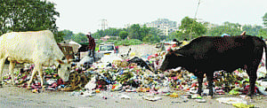 Sanitation staff suffer as Govt, agencies spar over funds