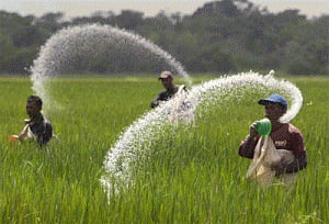 Neem coated urea to stop divergence for industrial use: Govt
