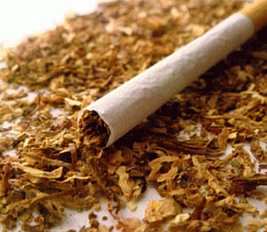 Himachal minister bats for budget for tobacco control