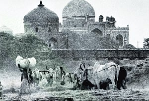 Fifty shades of India