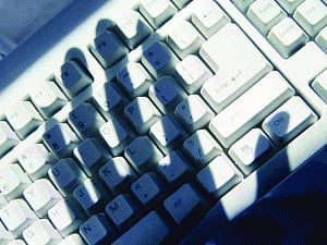 logging Into Terror