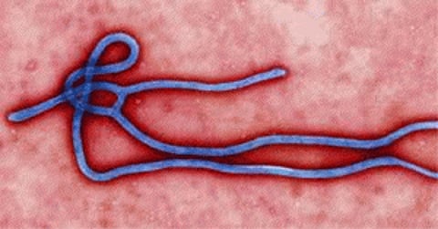 Britan Ebola nurse in critical condition: Hospital