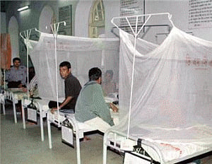 Bed nets and vaccines together may worsen malaria