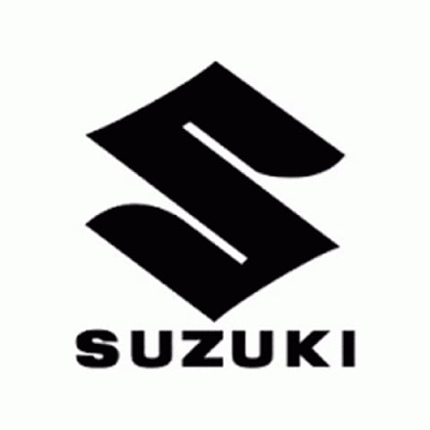 Gujarat CM lays foundation stone of Suzuki's Rs 3,000 cr plant