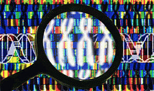 New software to analyse human genomes faster