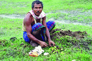 Son of the soil