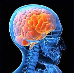 Brain's seat of speech shuts down when we talk