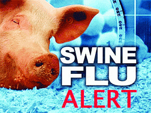 Mother, newborn survive swine flu