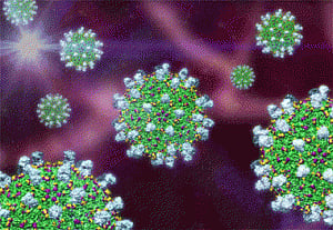 Powerful antibody against dengue virus found