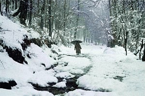 North India shivers as western disturbance brings rain, snowfall