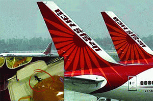 What lizard? Air India refutes claims