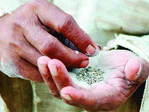 Ban on chewing tobacco soon