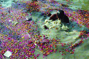 Clean Ganga mission on war footing