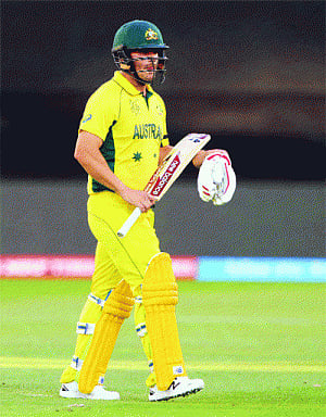 India have adapted to conditions: Finch