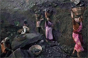 NTPC gets back five coal blocks