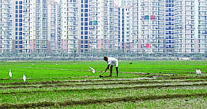 Govt pushes ahead as Opp won't budge