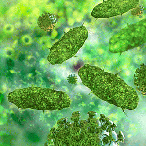 Bacterial protein may prevent antibiotic resistance