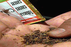 All forms of chewable tobacco banned in Delhi from today
