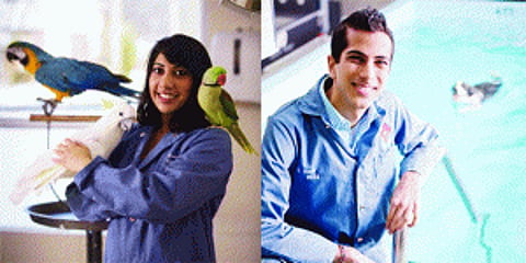 Go for pet care