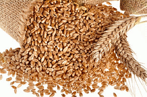 Wheat prices fall on higher supplies