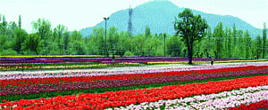 'Scared' tourists flood back after Kashmir Valley washout