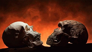 Human chin came from evolution, not chewing