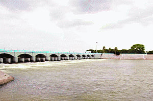 IIT-M tech promises 'sea' change in Cauvery solution