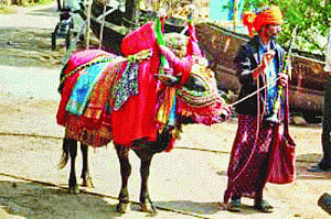 'Religion has nothing to do with beef ban'