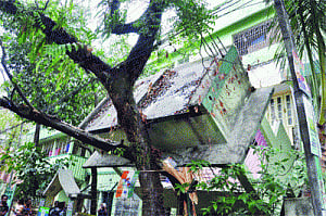 51 dead as quake jolts North India
