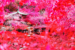 The spell of spring
