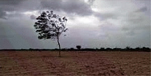Guj govt to push land acquisition for Chinese industrial park