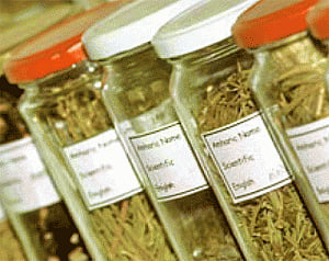 Indian plant extracts may treat diabetes: study