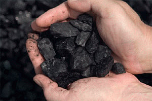 HC keeps in abeyance CIl letter cancelling coal e-auction