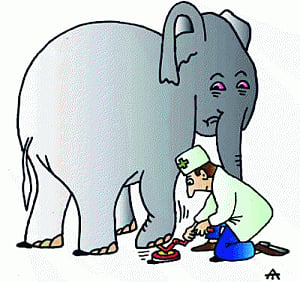 Big feat! India's 1st jumbo hospital in Kerala