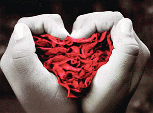 Express your love now