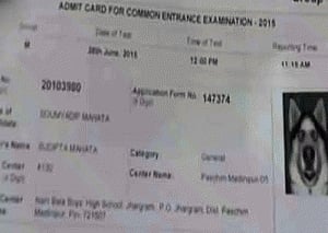 Dog's photo on ITI entrance admit card
