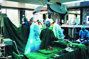 Docs split cadaver liver to save 2 lives