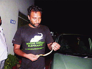 Snake at Chief Secy's residence triggers panic