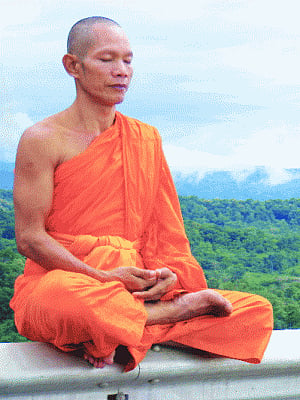 Holistic approach ensures success