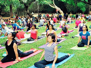 Rs 92 lakh spent on mats for Yoga day: Govt