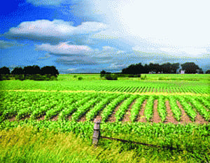 Move to unlock agricultural land for commercial use