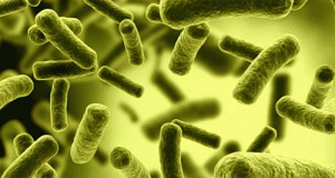 New device detects urinary tract infections in an hour