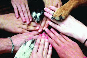 Connectedness with all living creatures
