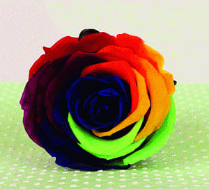 let your love blossom