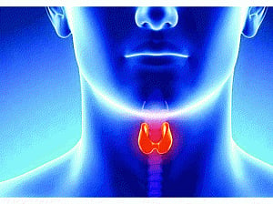 Taking cancer by the throat