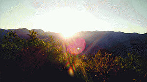 Alishan way of life