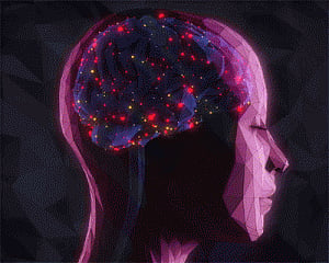 Most of brain's information flows through neuron 'hubs'