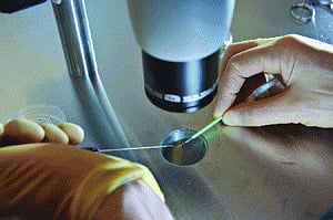 British scientists allowed to genetically modify human embryos