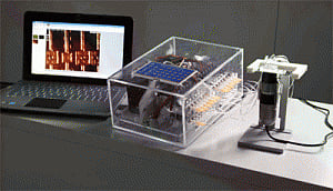 low-cost portable device that can detect Ebola